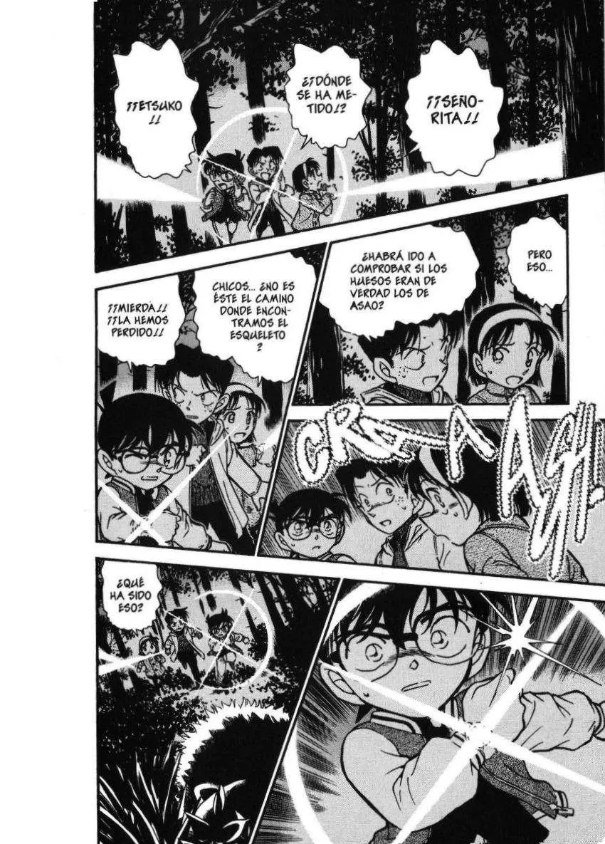 Detective Conan capítulo 467 página 15