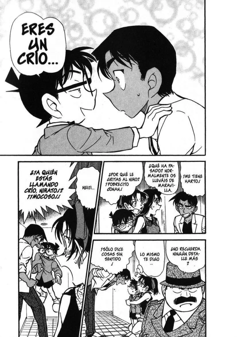Detective Conan capítulo 489 página 4