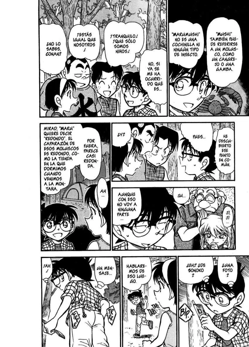 Detective Conan capítulo 491 página 9