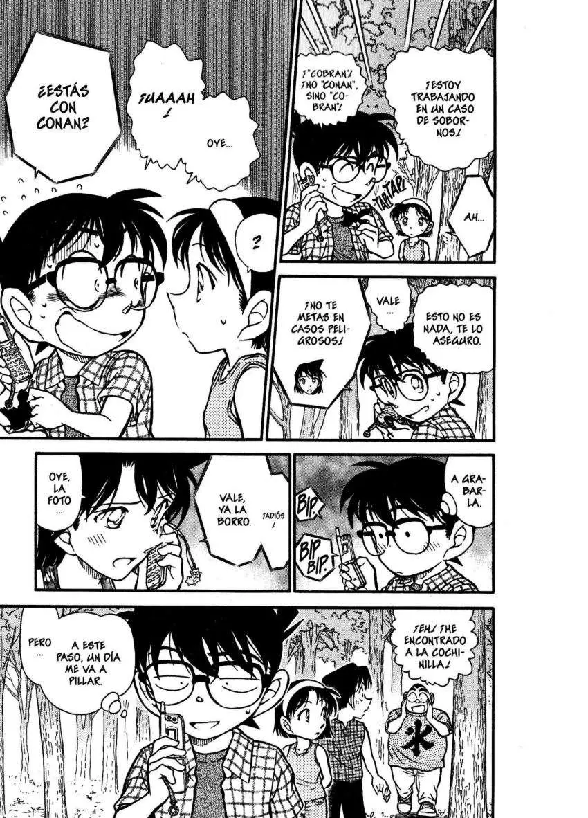 Detective Conan capítulo 491 página 12