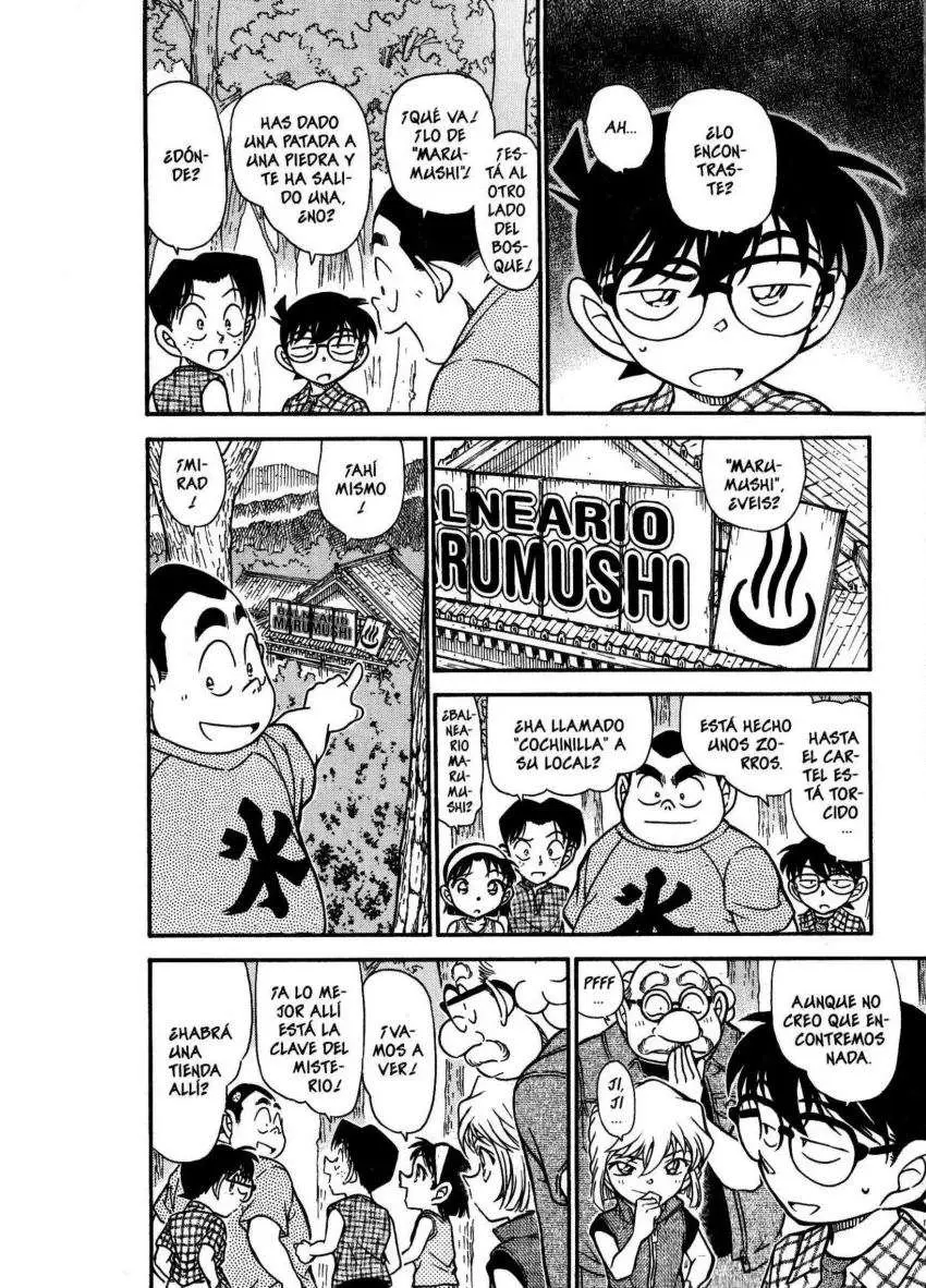 Detective Conan capítulo 491 página 13