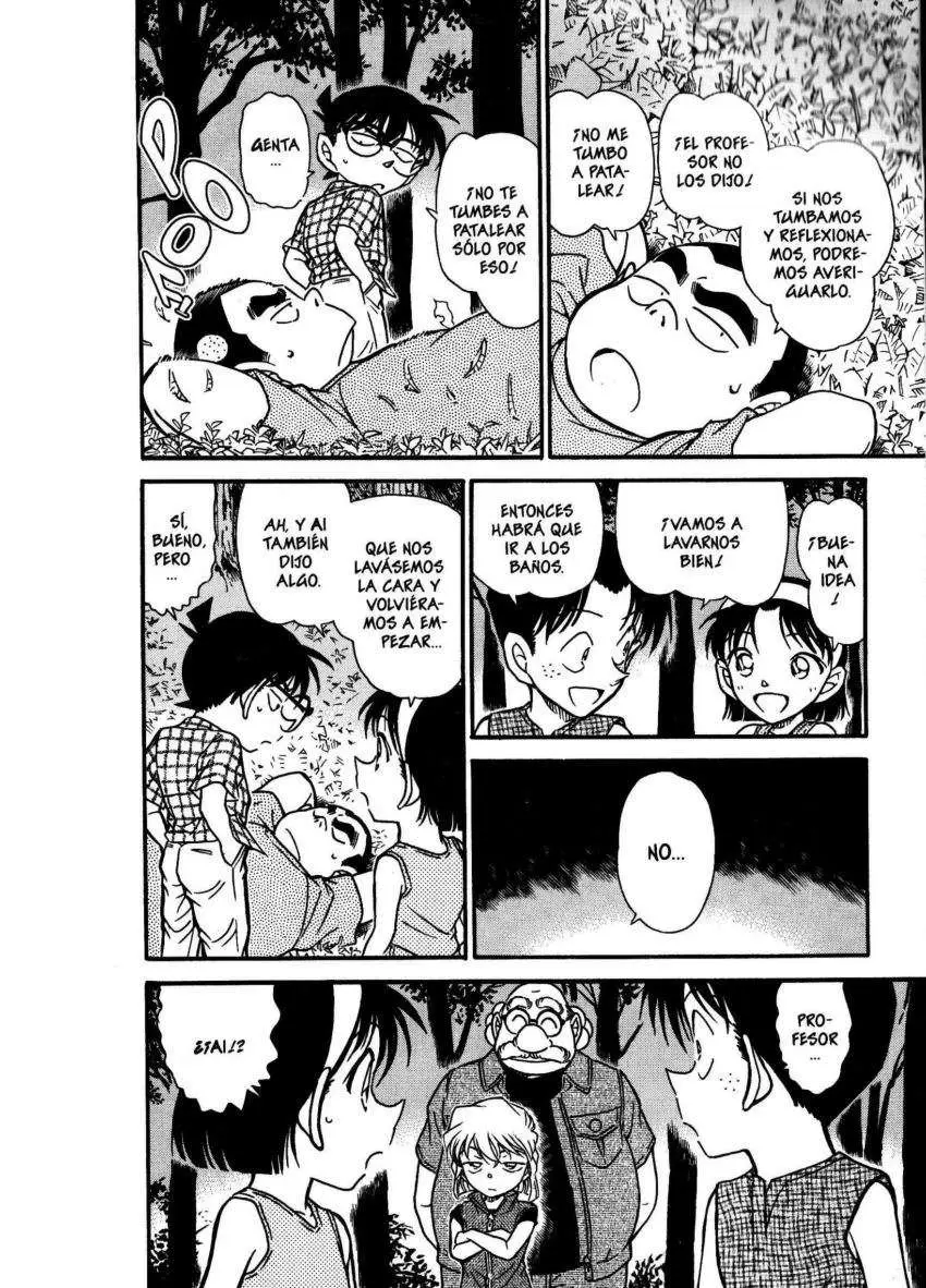 Detective Conan capítulo 492 página 11