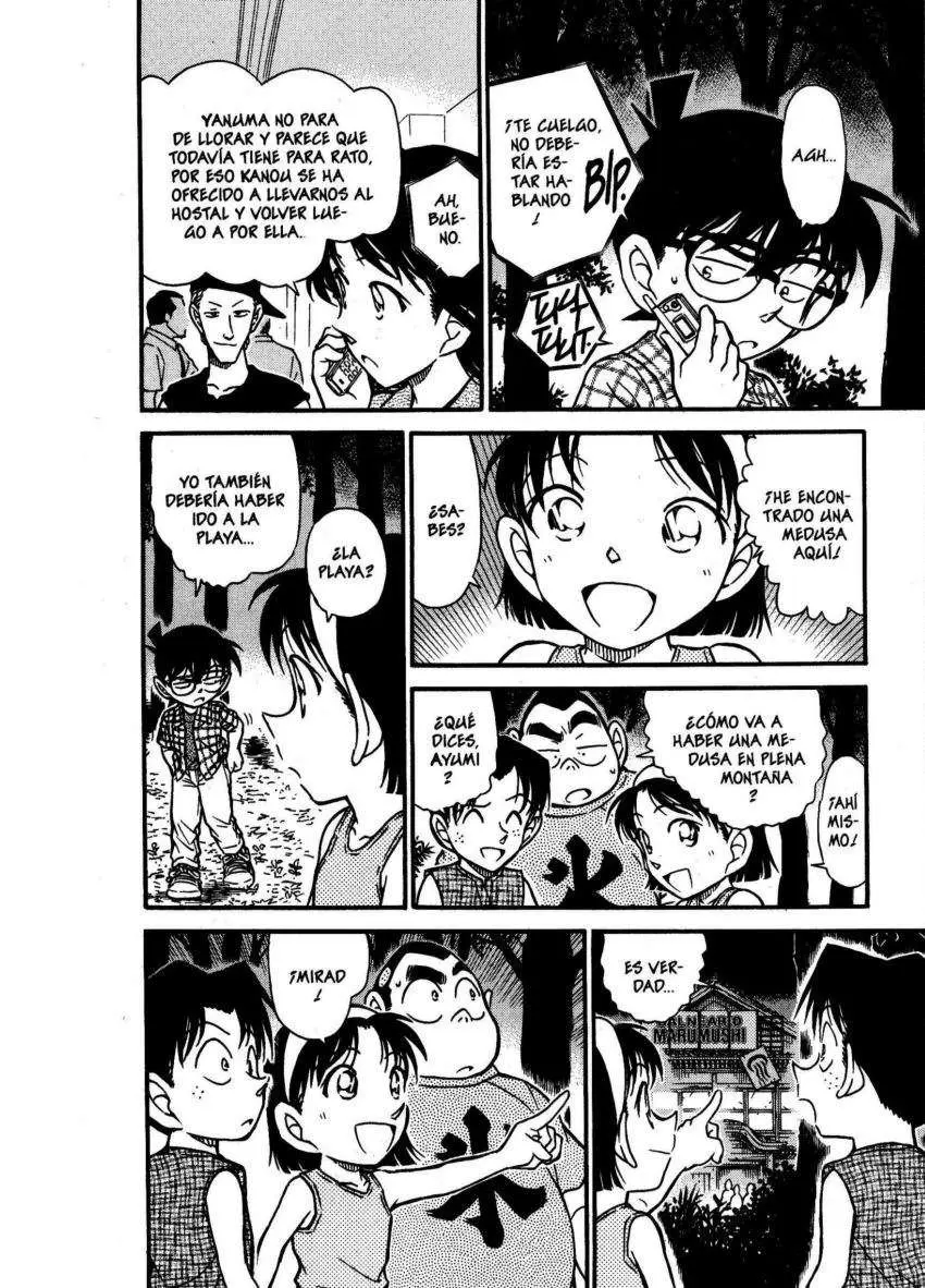 Detective Conan capítulo 492 página 15