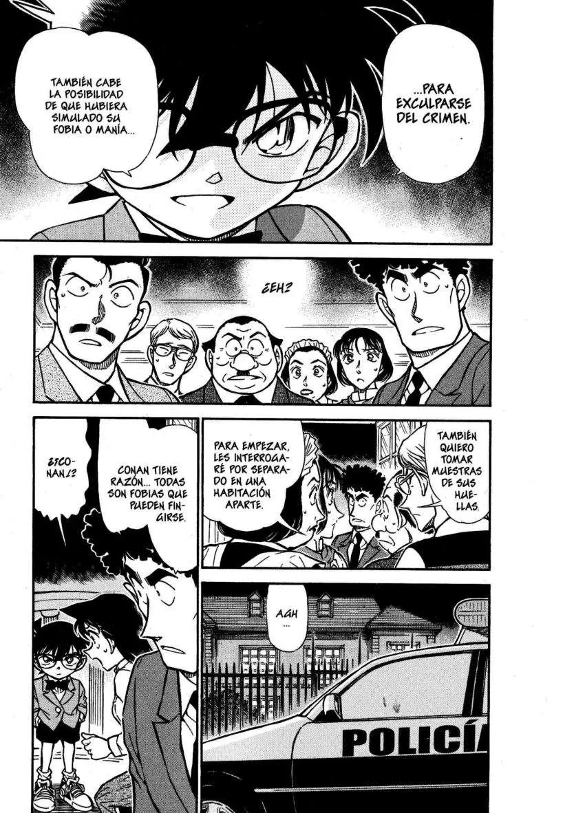Detective Conan capítulo 495 página 12