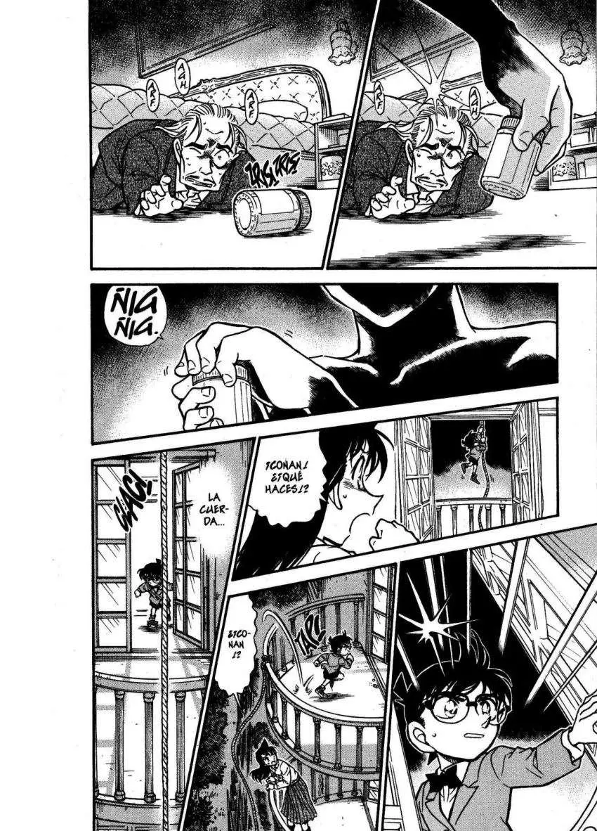 Detective Conan capítulo 495 página 15