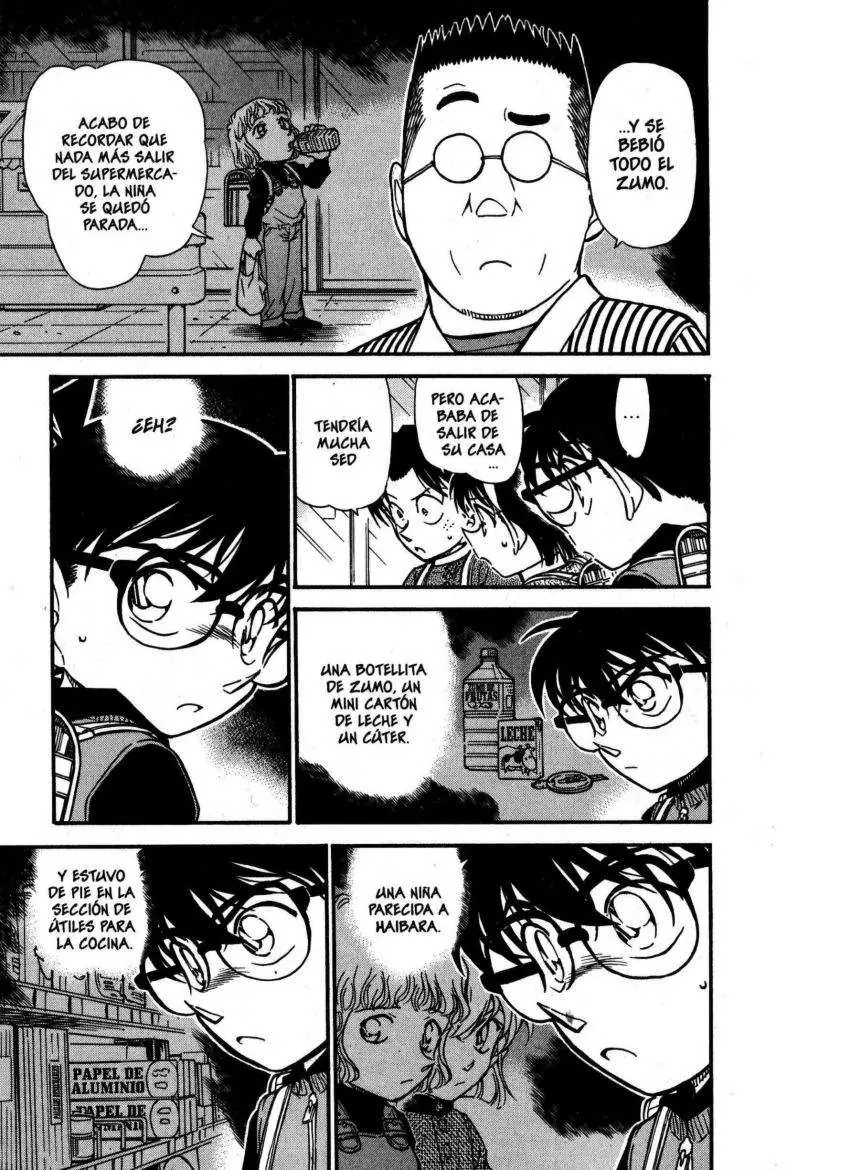 Detective Conan capítulo 506 página 14