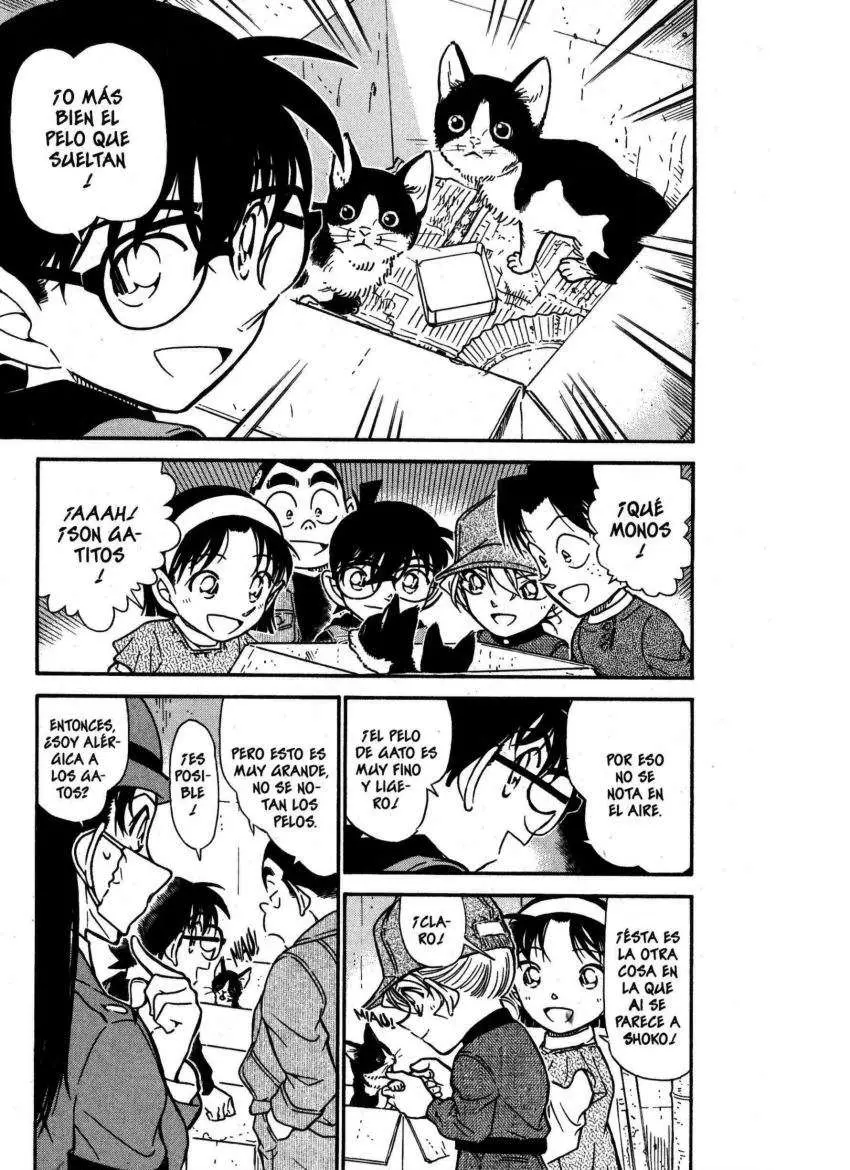 Detective Conan capítulo 507 página 6