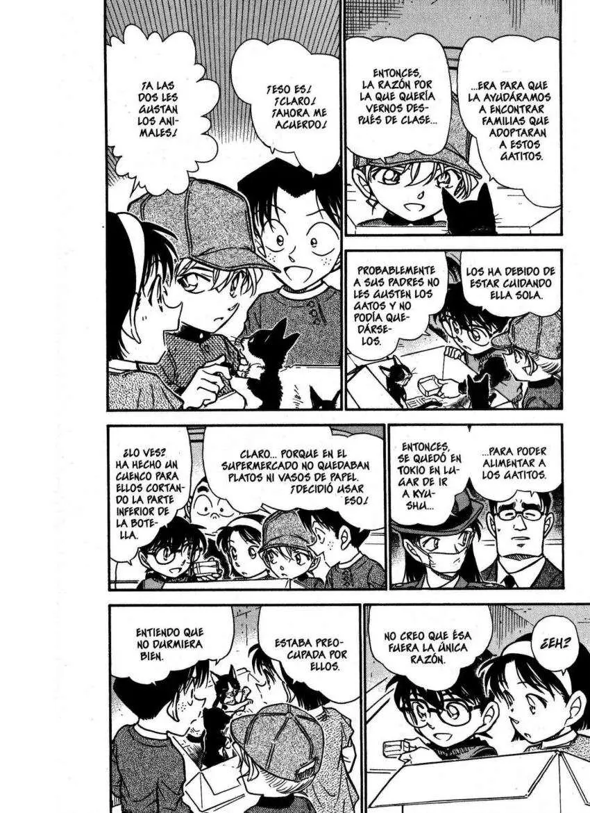 Detective Conan capítulo 507 página 7