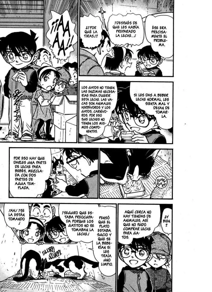 Detective Conan capítulo 507 página 8