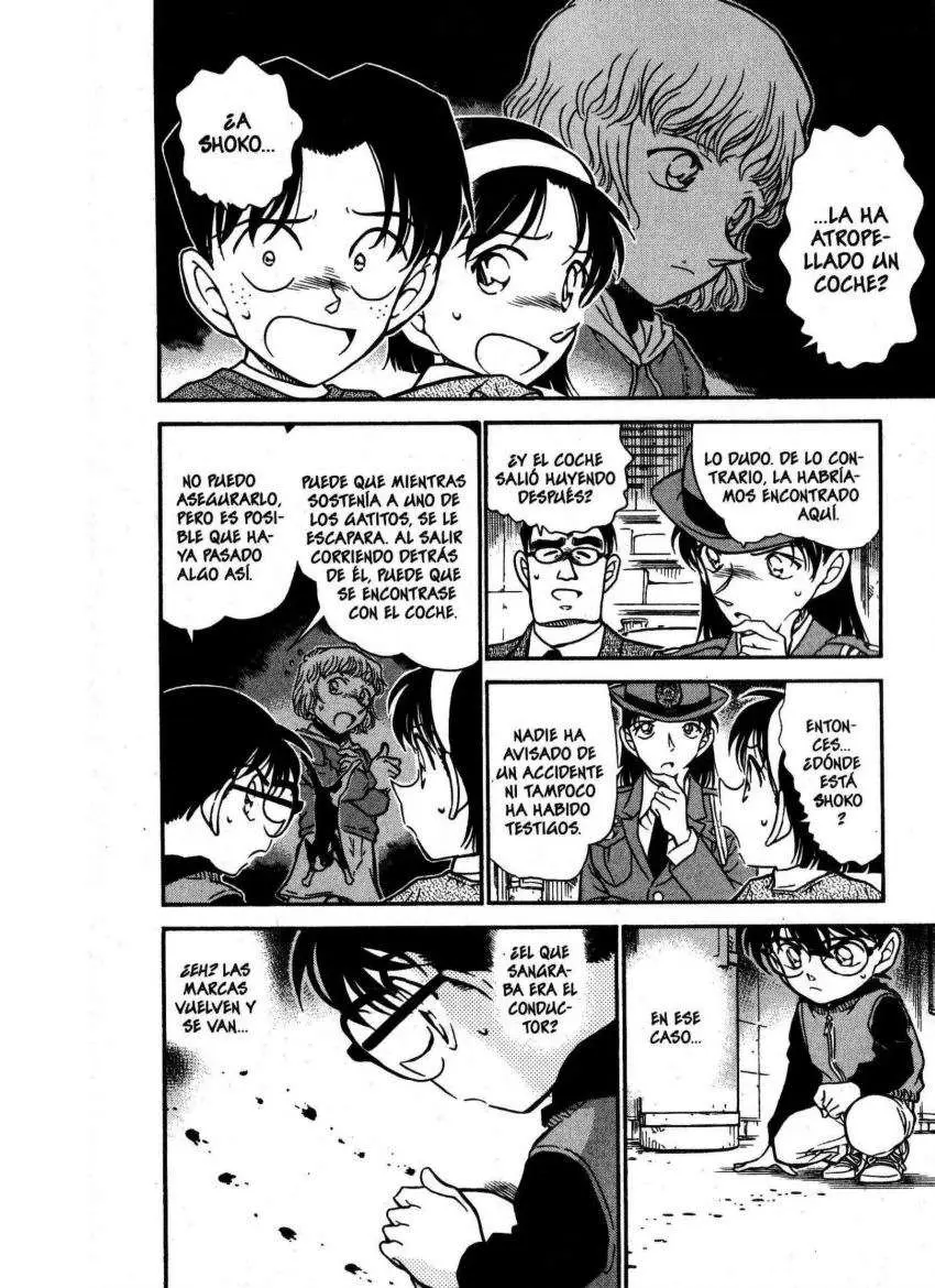 Detective Conan capítulo 507 página 11