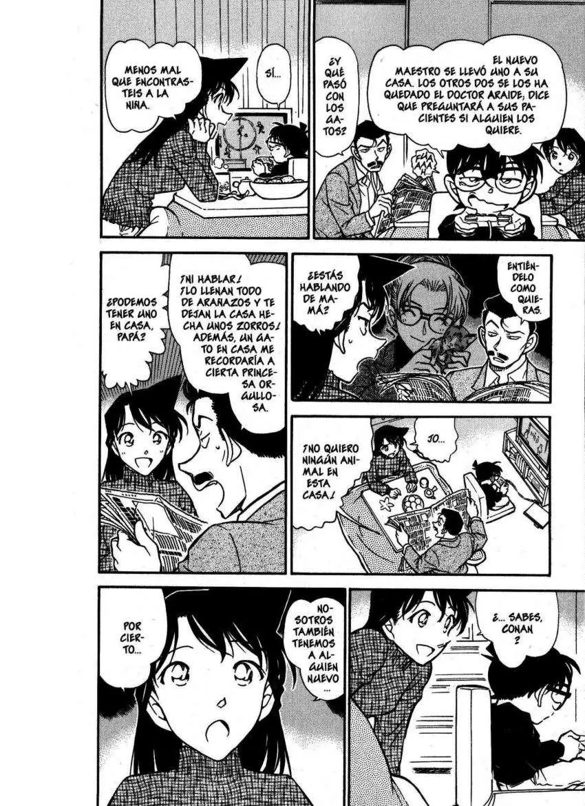 Detective Conan capítulo 507 página 17