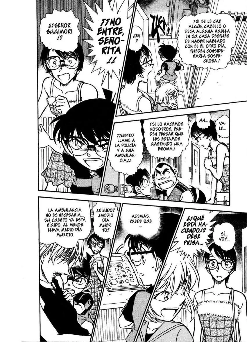Detective Conan capítulo 515 página 13