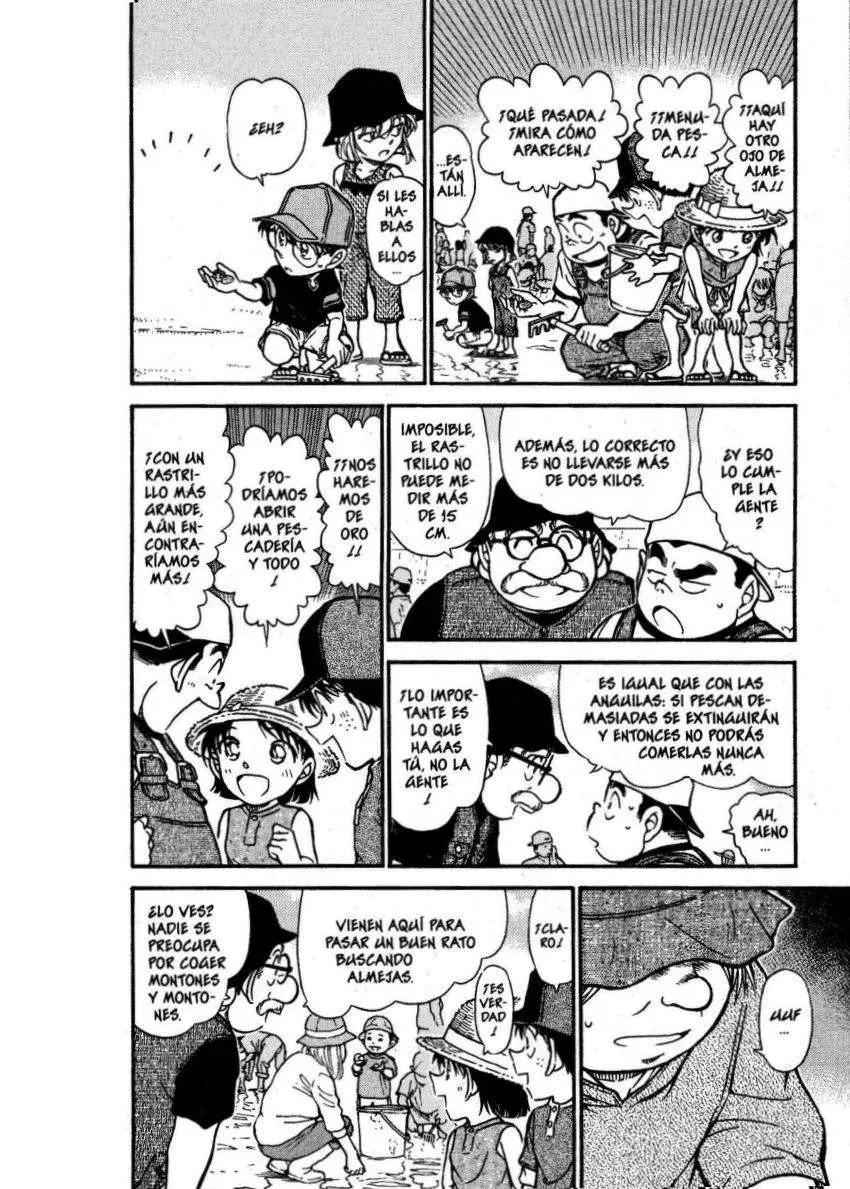 Detective Conan capítulo 525 página 5