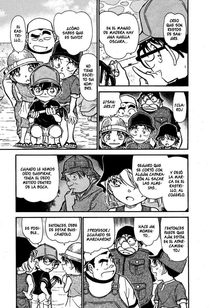 Detective Conan capítulo 525 página 14