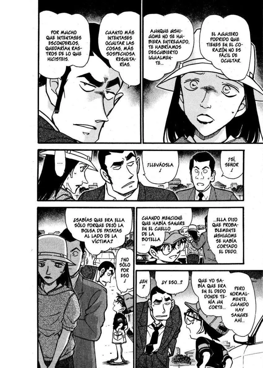 Detective Conan capítulo 527 página 17
