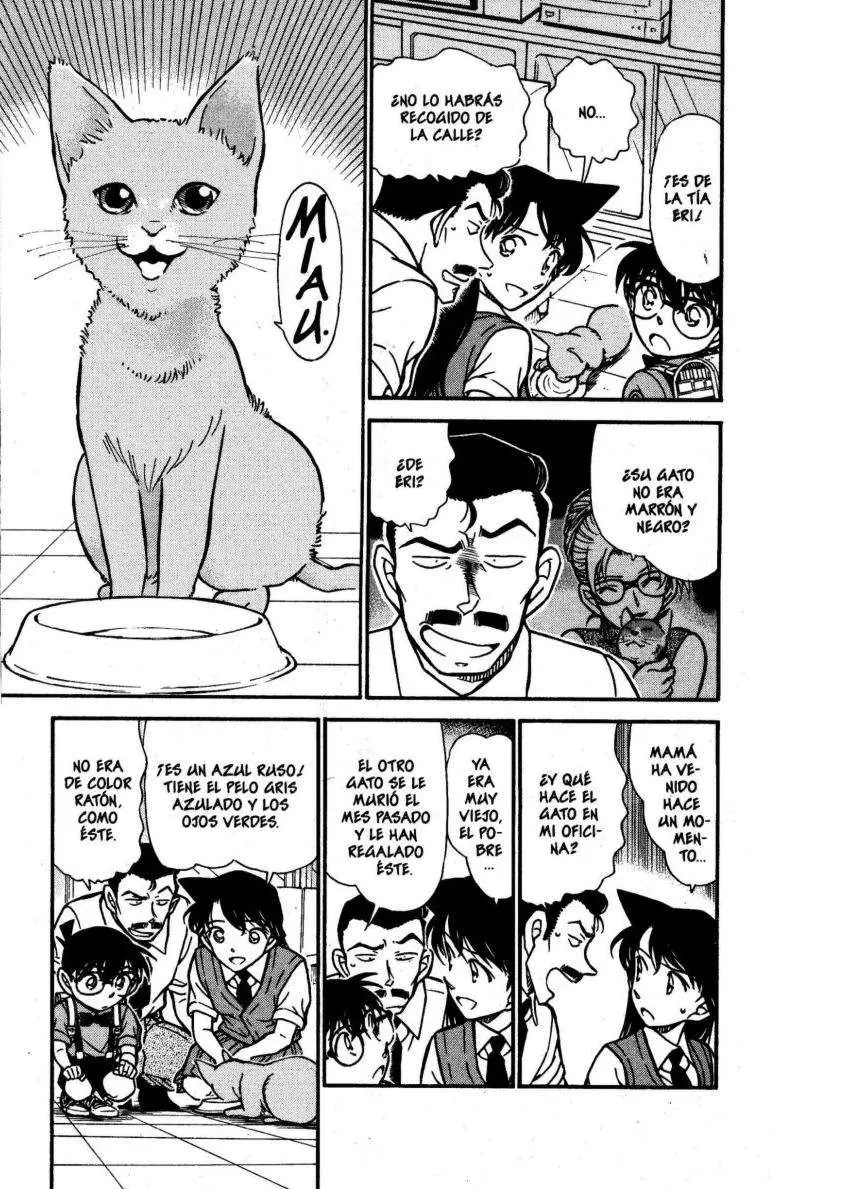 Detective Conan capítulo 528 página 4
