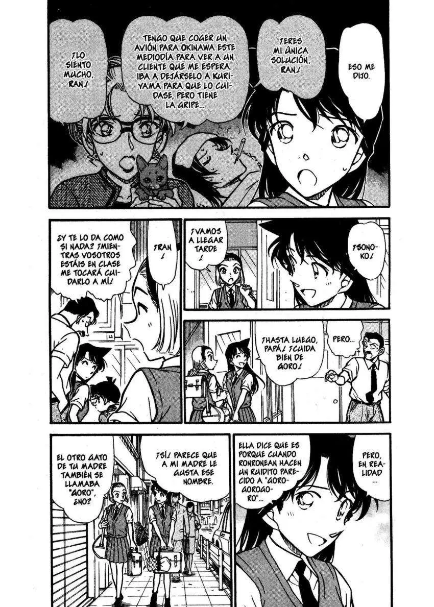 Detective Conan capítulo 528 página 5