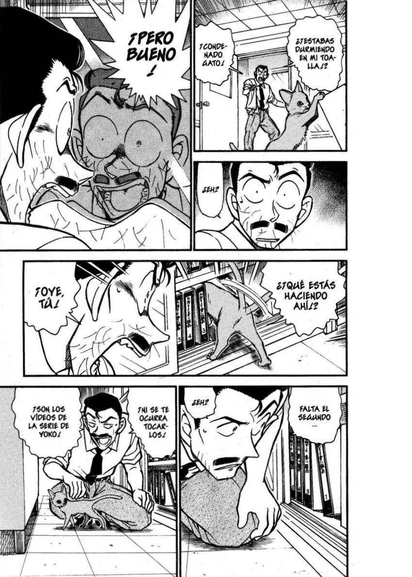 Detective Conan capítulo 528 página 12