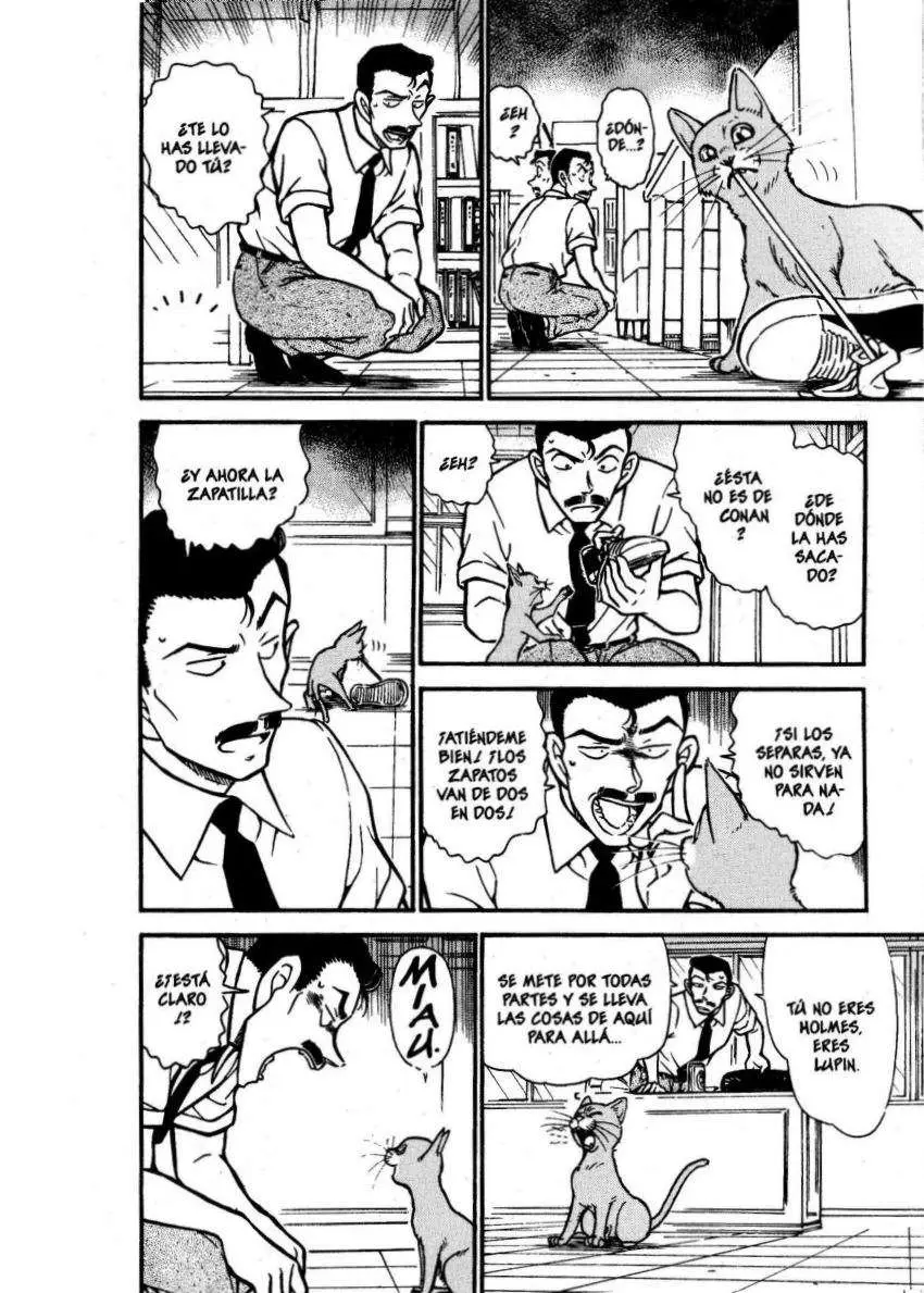 Detective Conan capítulo 528 página 13