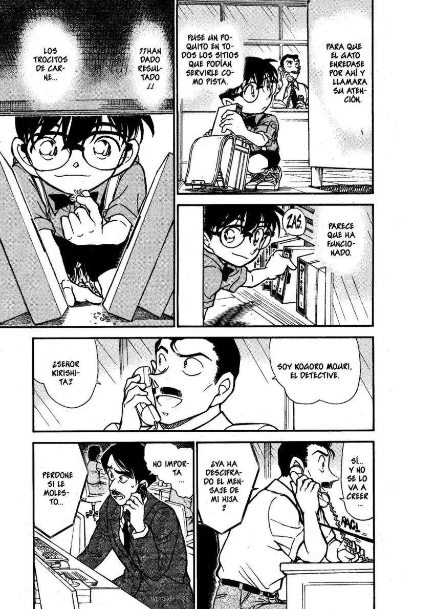 Detective Conan capítulo 529 página 12