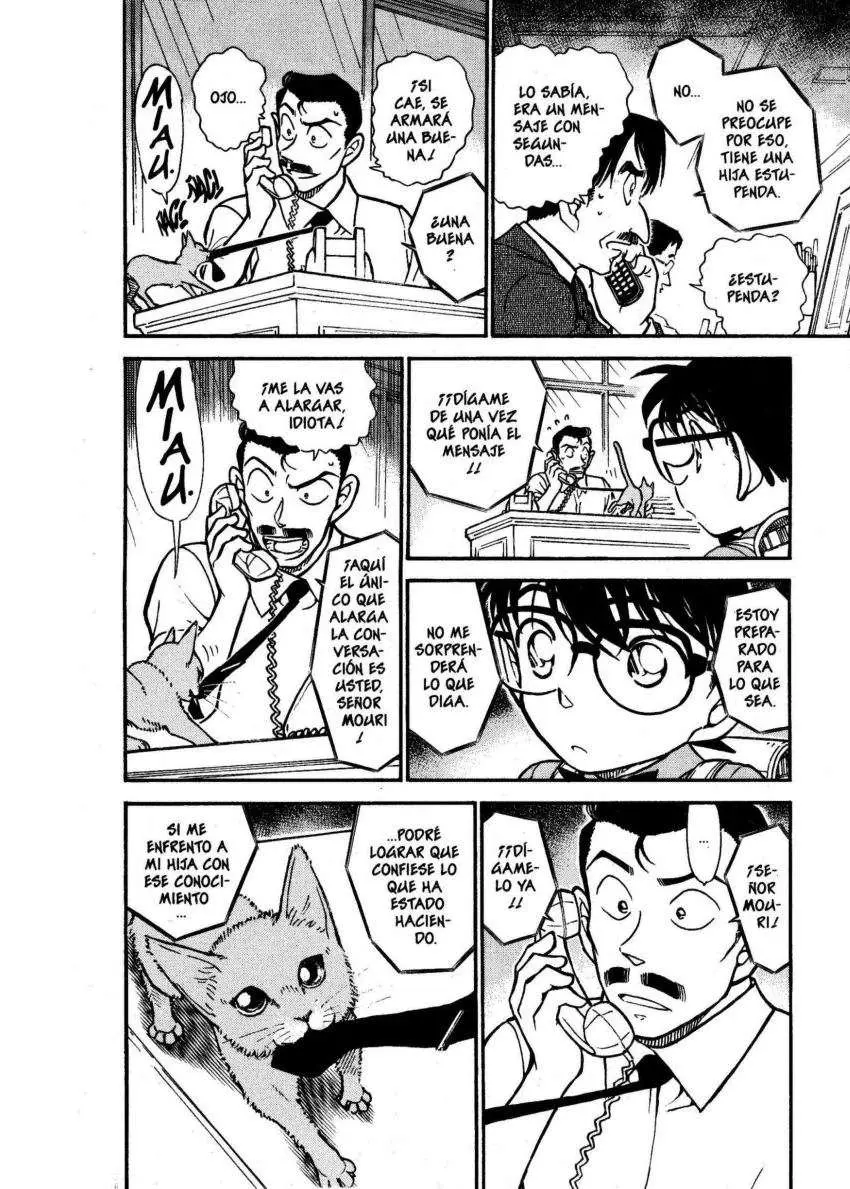 Detective Conan capítulo 529 página 13