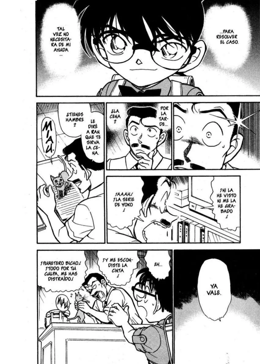 Detective Conan capítulo 529 página 15