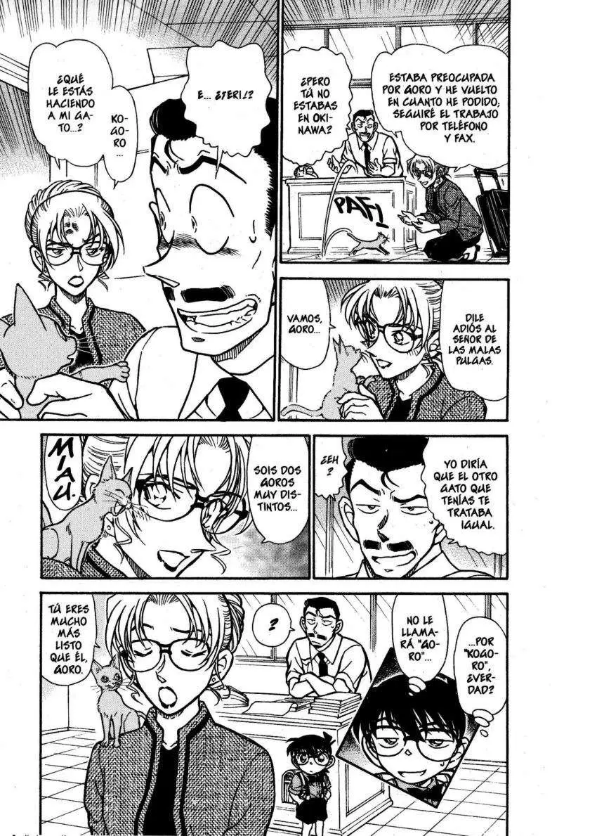 Detective Conan capítulo 529 página 16