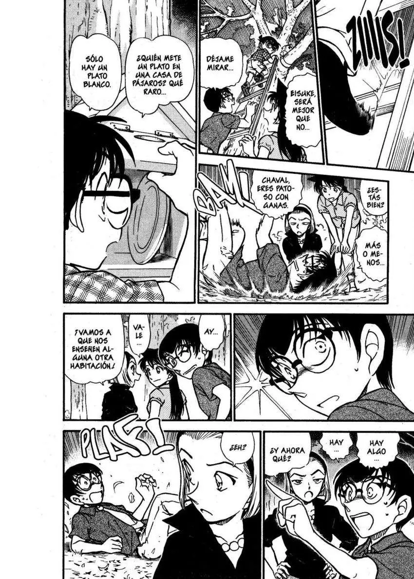 Detective Conan capítulo 530 página 13