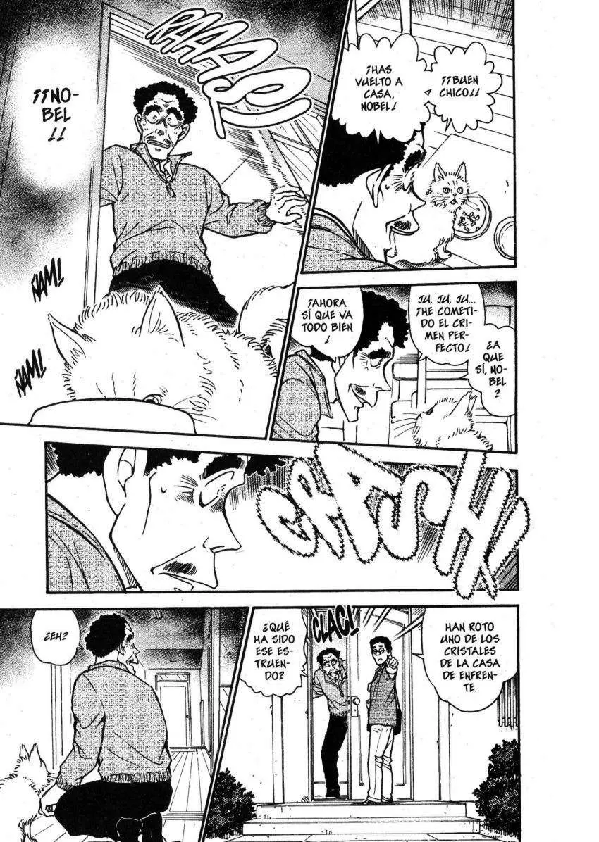 Detective Conan capítulo 538 página 12