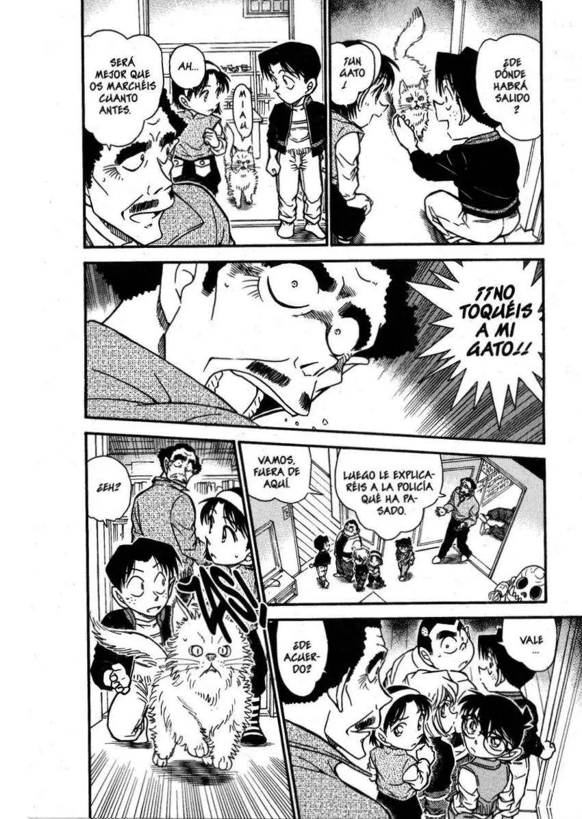 Detective Conan capítulo 539 página 5
