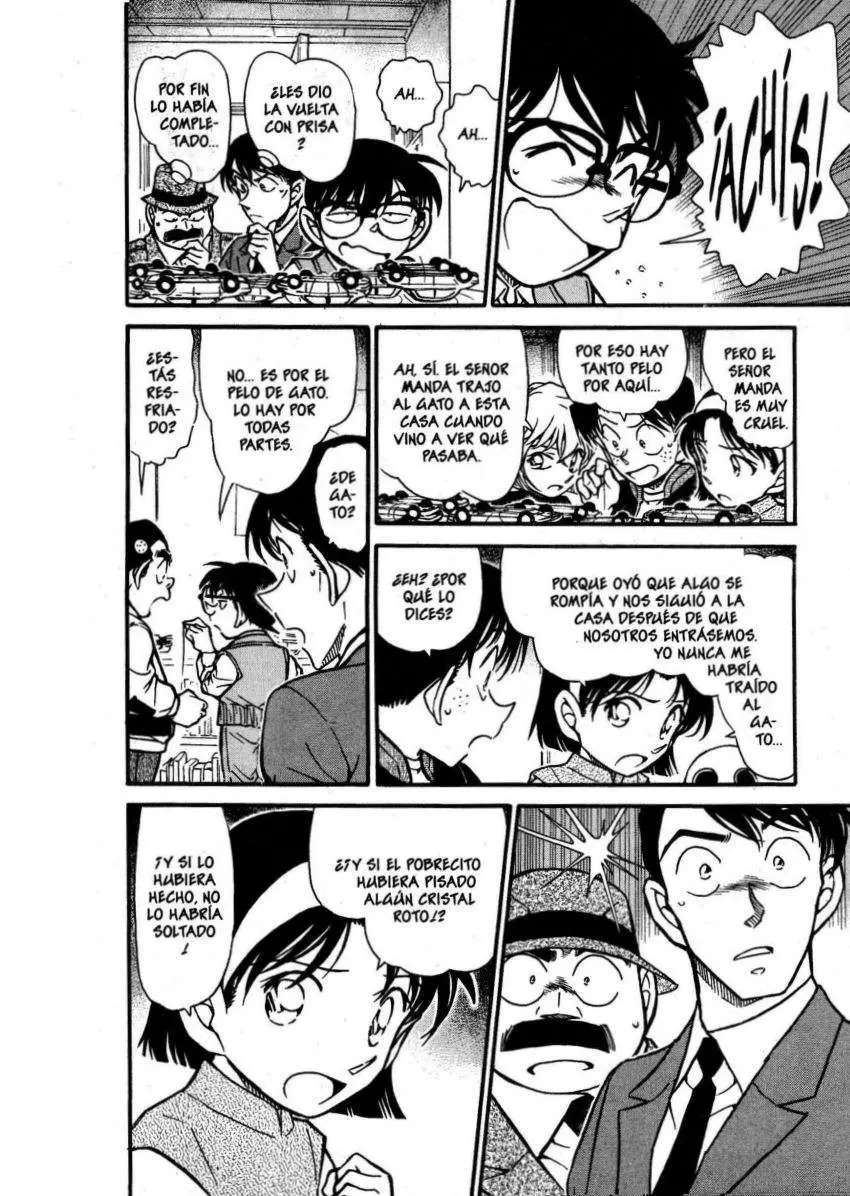 Detective Conan capítulo 540 página 7
