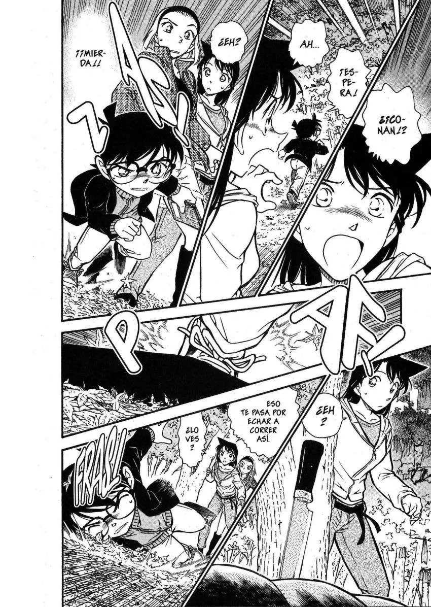 Detective Conan capítulo 541 página 15