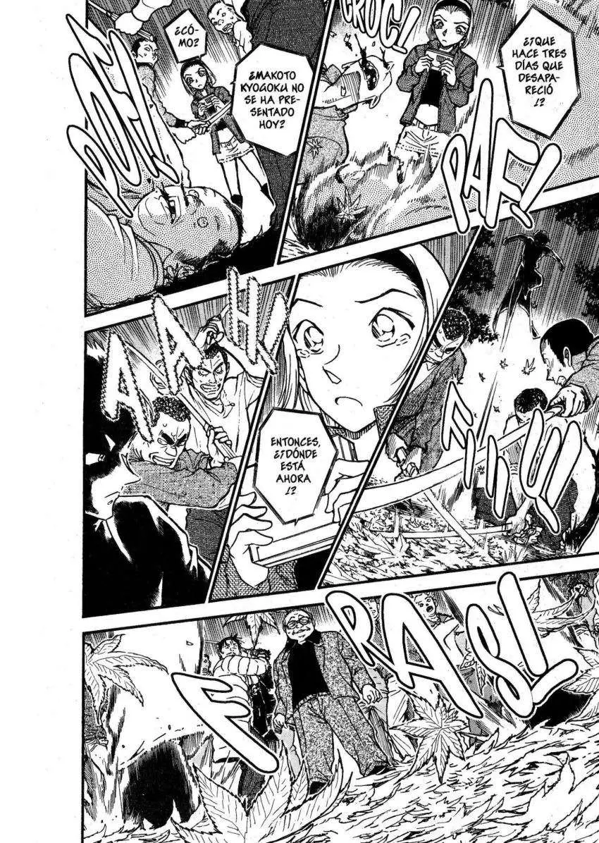 Detective Conan capítulo 543 página 13