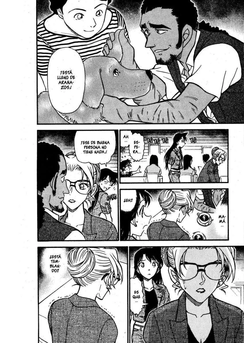 Detective Conan capítulo 574 página 13