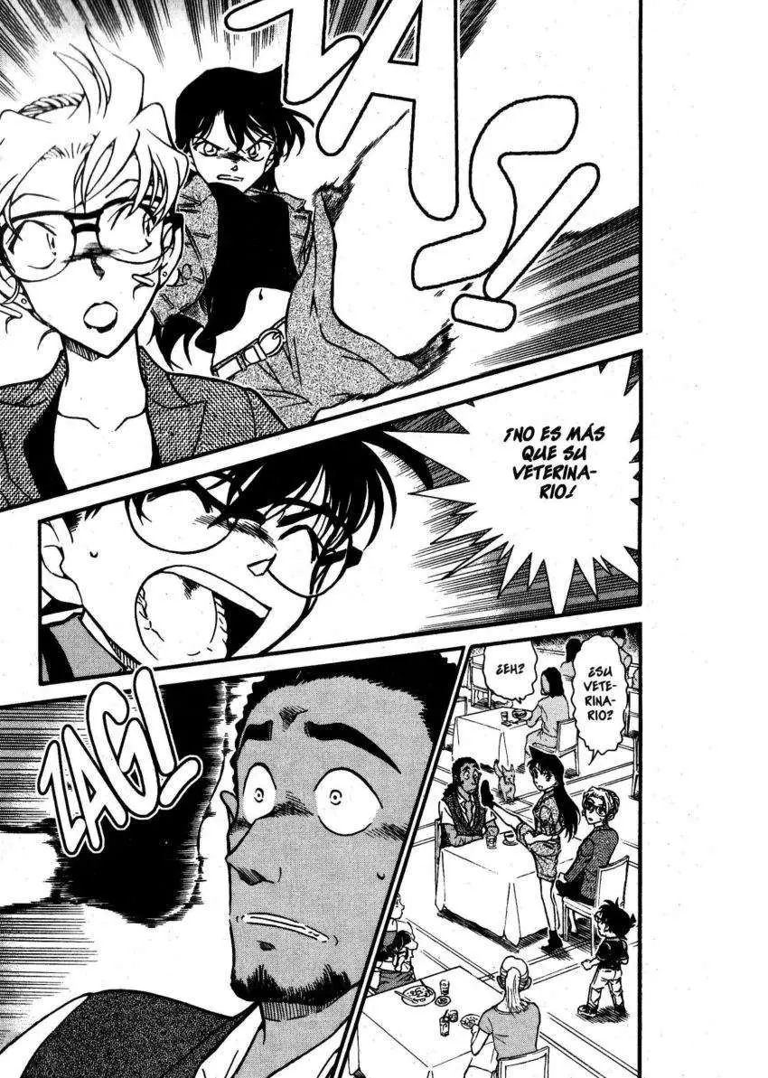 Detective Conan capítulo 575 página 4