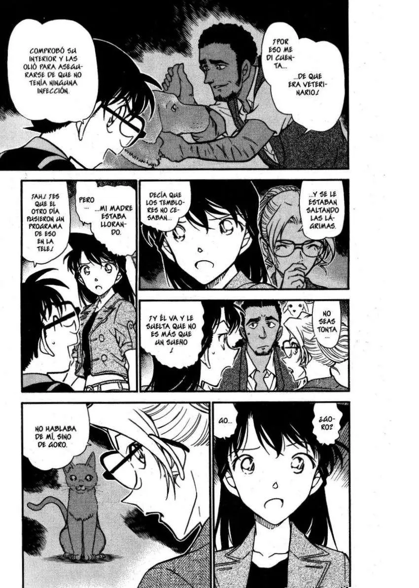 Detective Conan capítulo 575 página 6
