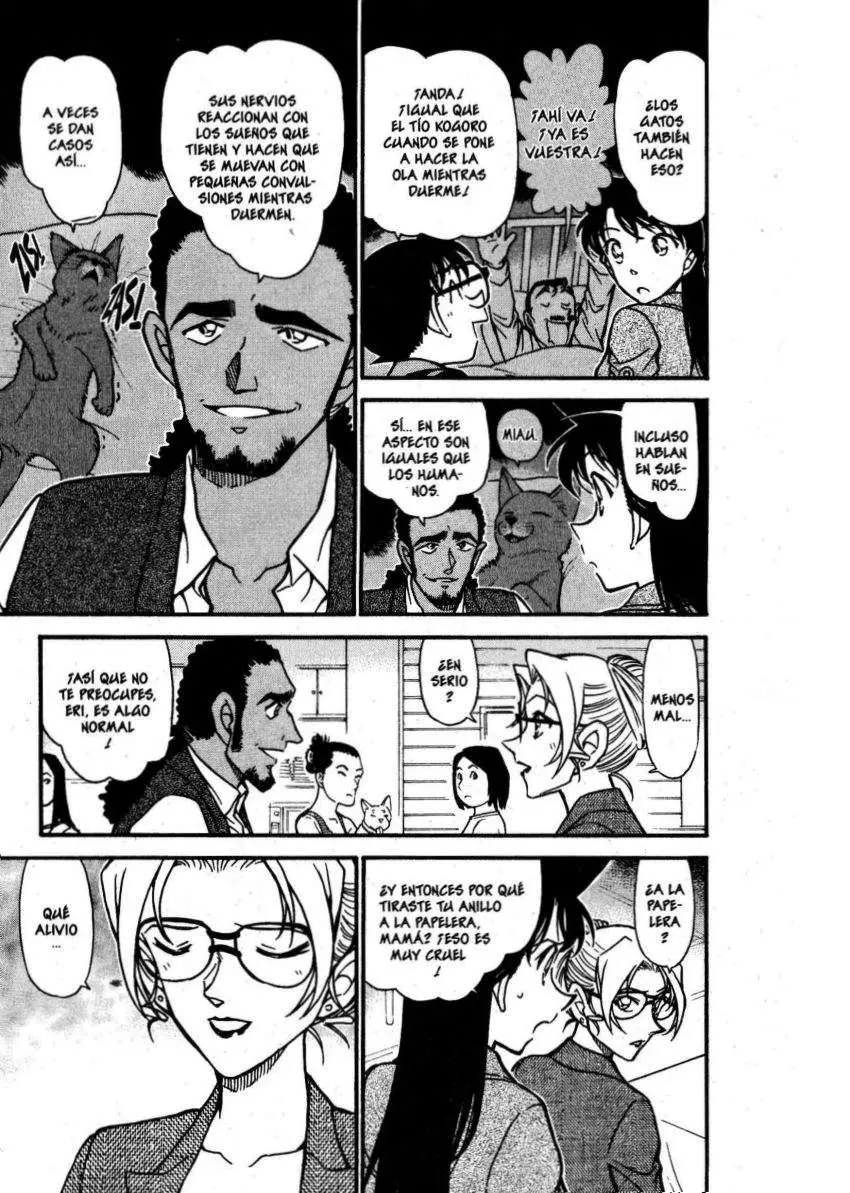Detective Conan capítulo 575 página 8