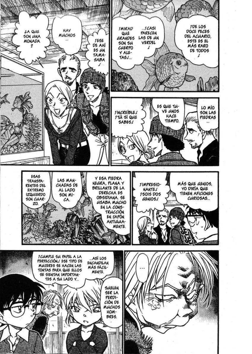 Detective Conan capítulo 579 página 12