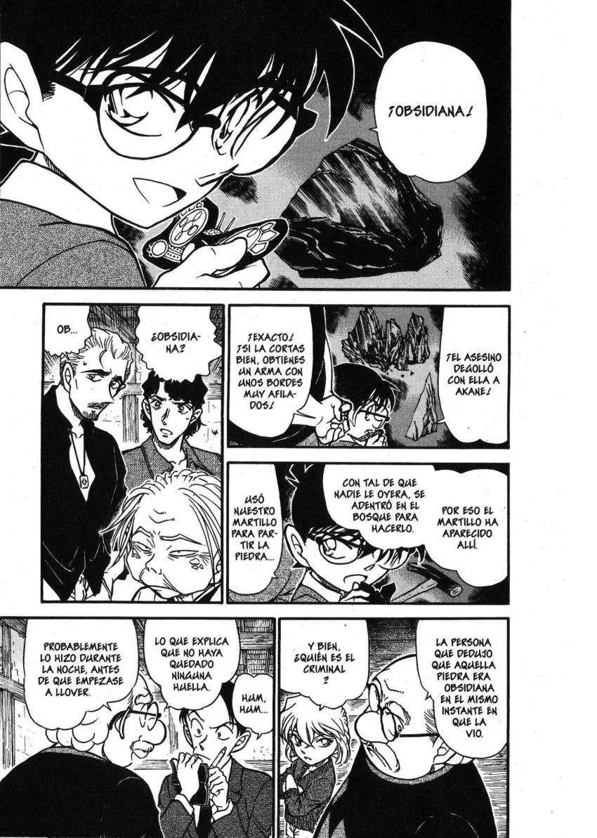 Detective Conan capítulo 581 página 10