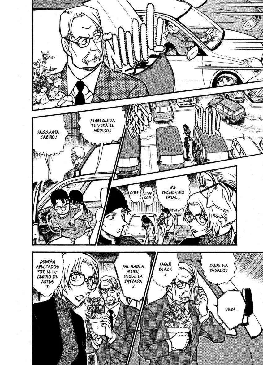 Detective Conan capítulo 600 página 12