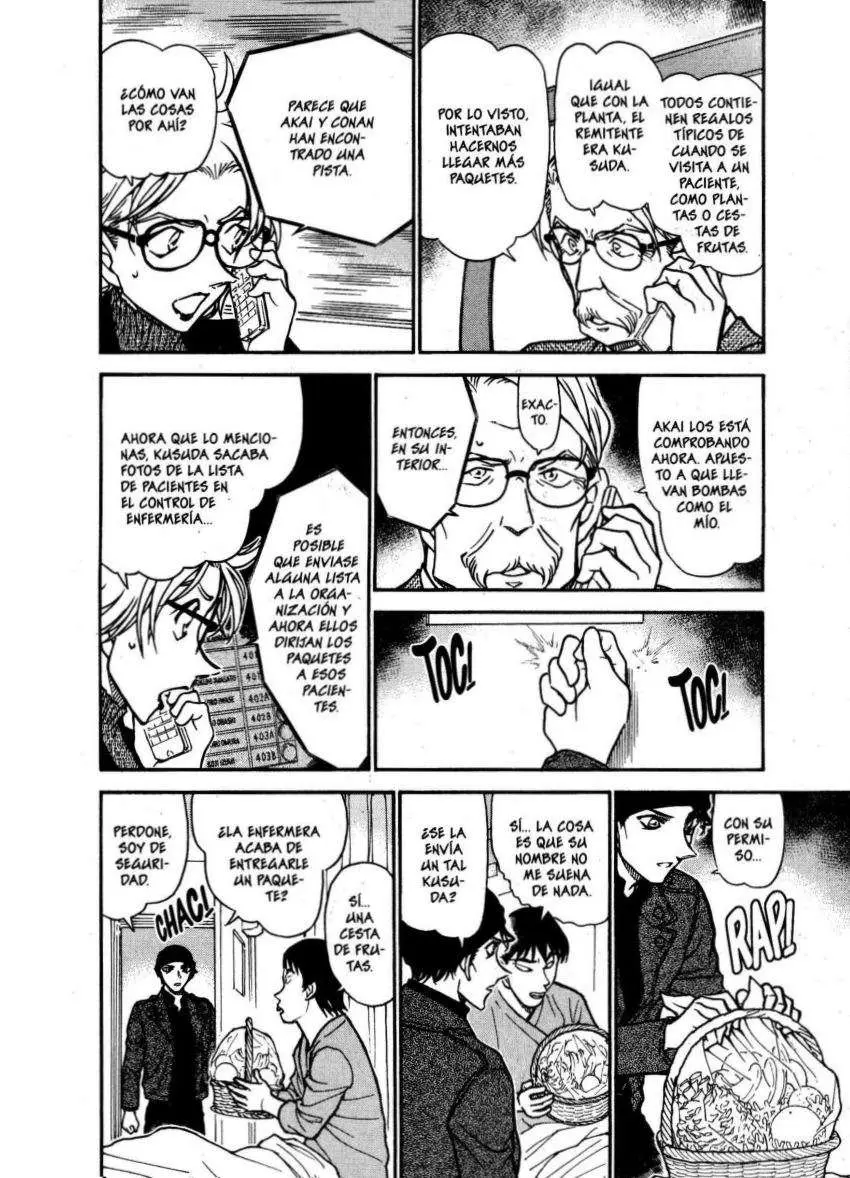 Detective Conan capítulo 601 página 13