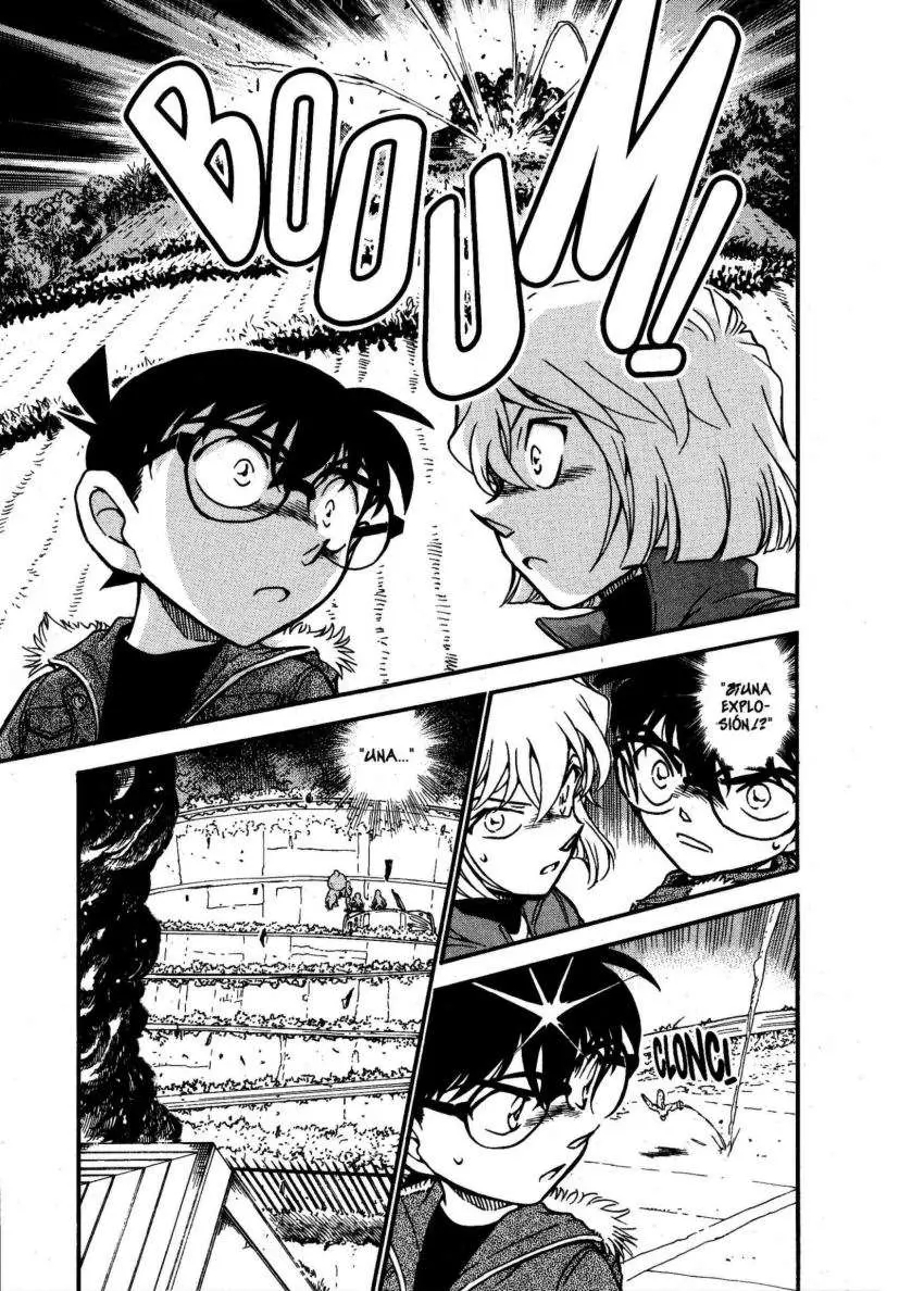 Detective Conan capítulo 635 página 10