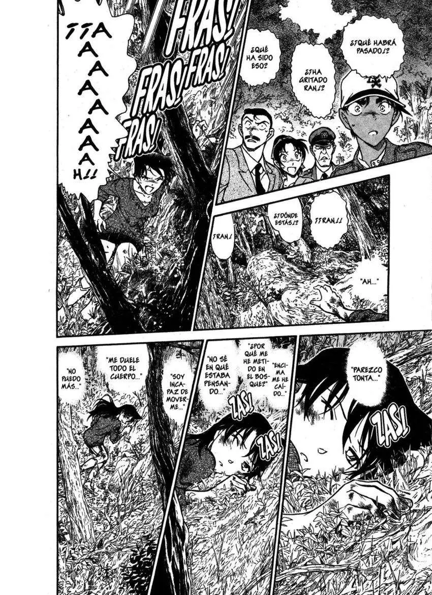 Detective Conan capítulo 649 página 15