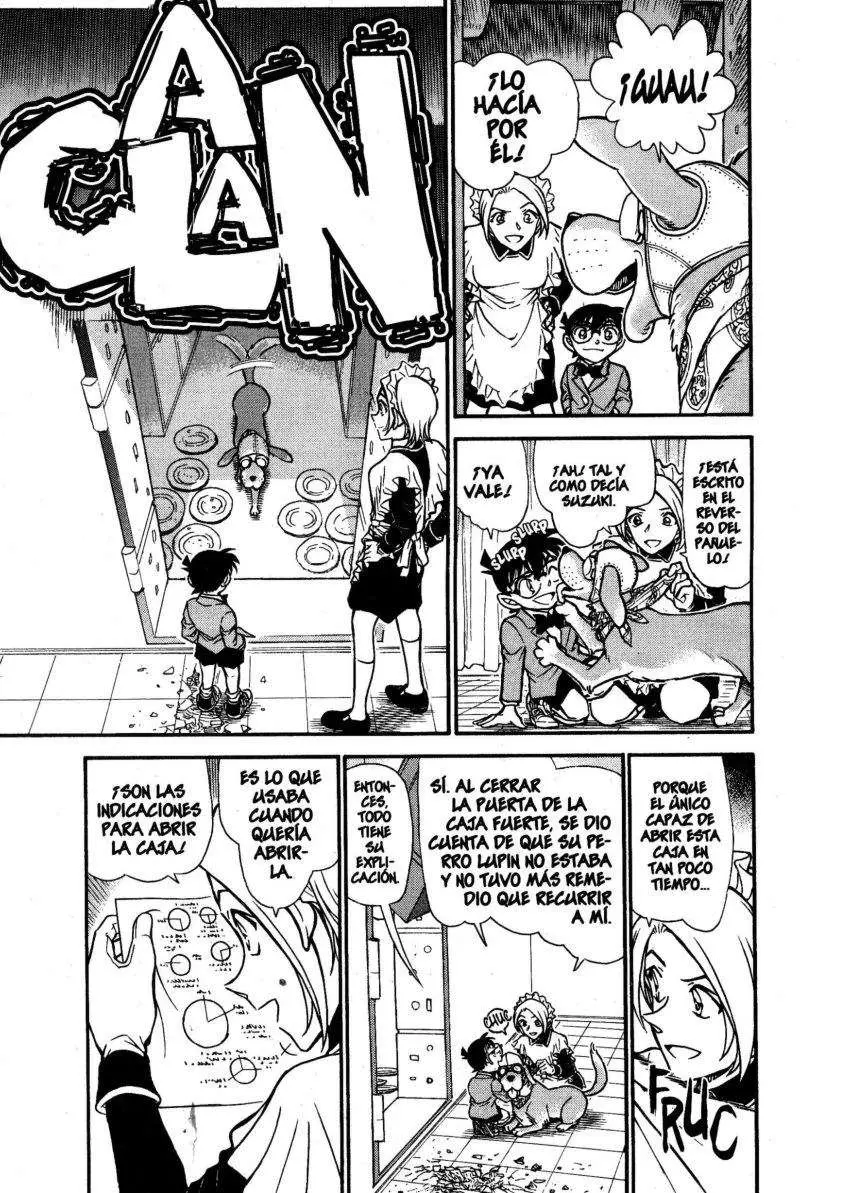 Detective Conan capítulo 676 página 14