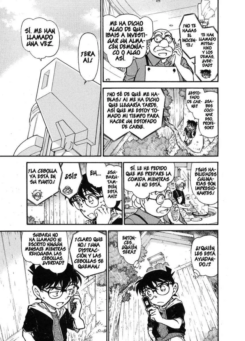 Detective Conan capítulo 691 página 12