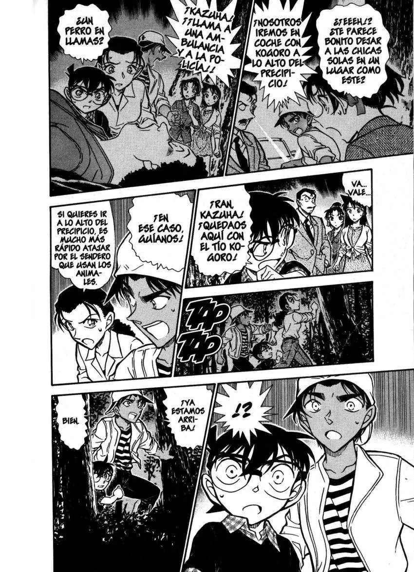 Detective Conan capítulo 736 página 14