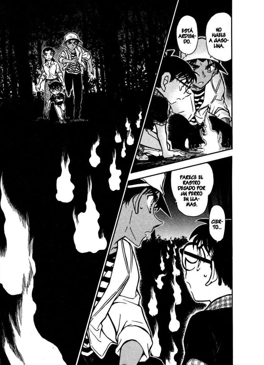 Detective Conan capítulo 736 página 15