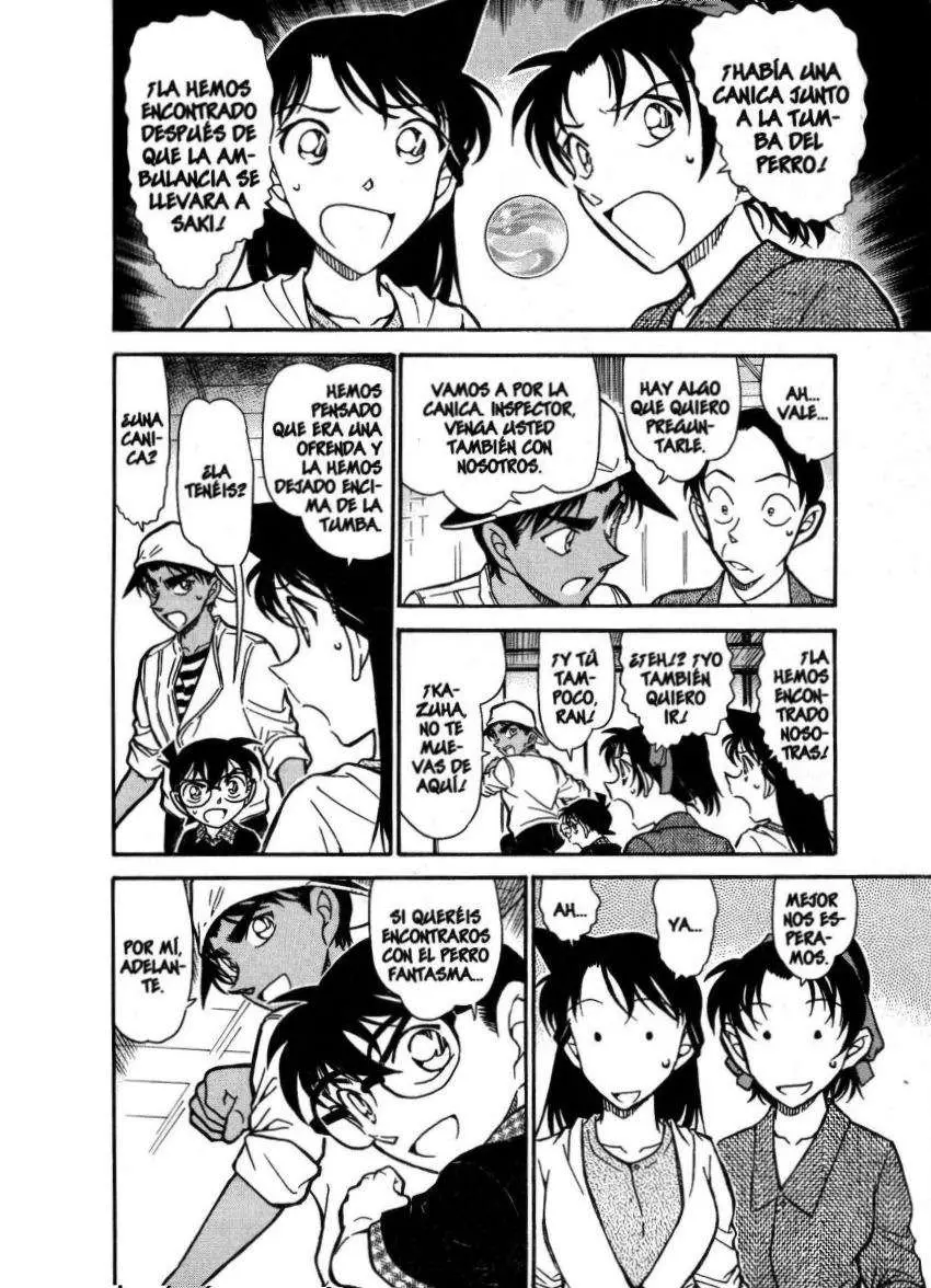 Detective Conan capítulo 737 página 9