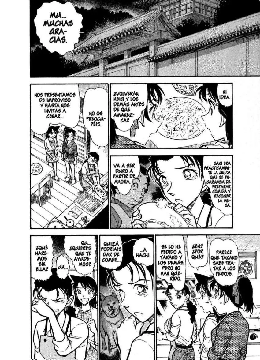 Detective Conan capítulo 737 página 11