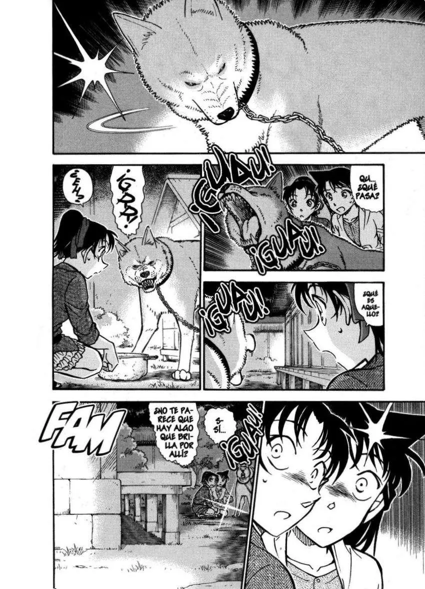 Detective Conan capítulo 737 página 15